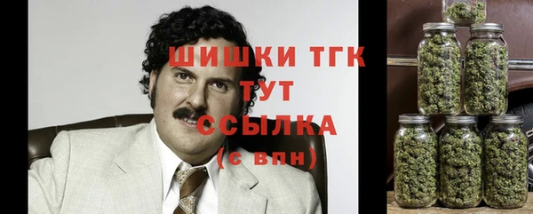 прущие грибы Алексеевка