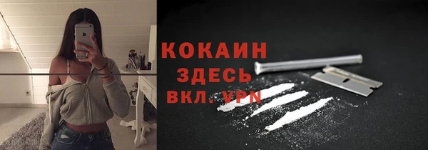 стафф Алзамай