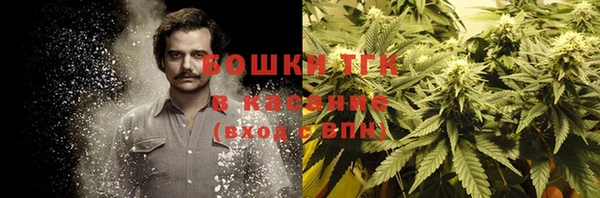 прущие грибы Алексеевка