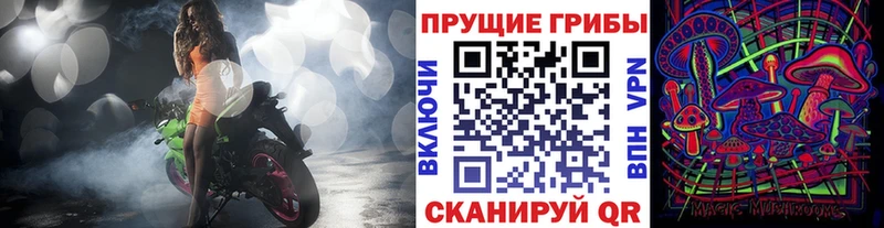 Псилоцибиновые грибы GOLDEN TEACHER  Яблоновский 